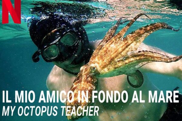 il mio amico in fondo al mare