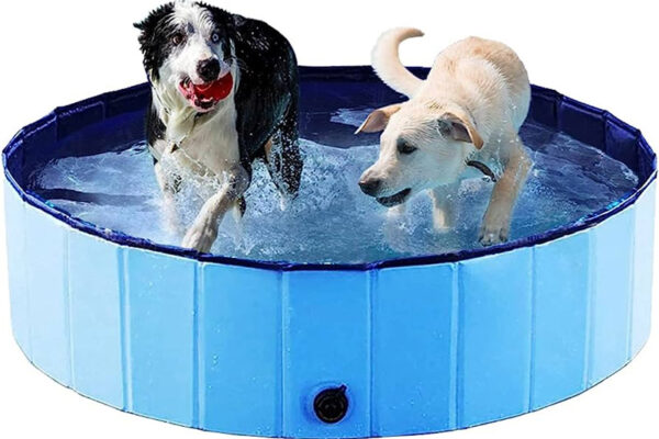 piscina per cani online