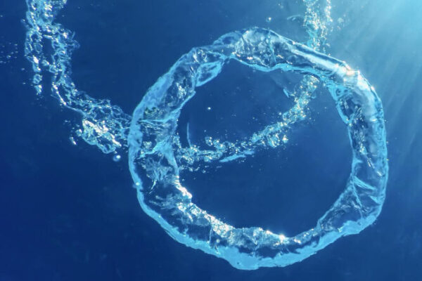 curiosità dal mondo dell'acqua