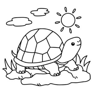 tartaruga di terra per bambini