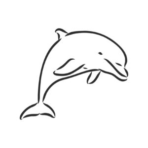 delfino stilizzato da colorare