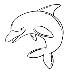 delfino realistico in bianco e nero